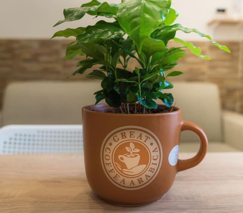 Il Tempo Di Un Caffe Apartman Nápoly Kültér fotó
